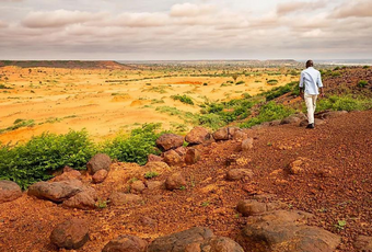 Crisis Action's Sahel Campaign